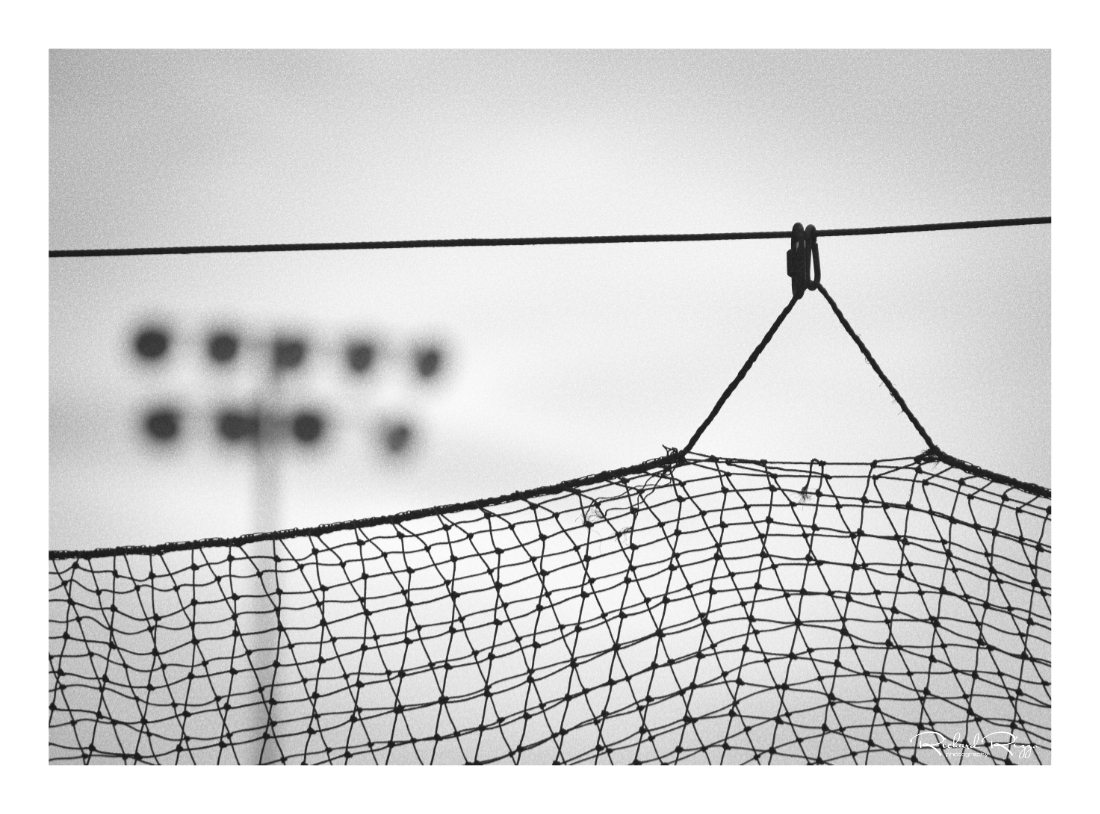 Game day shutterbug
